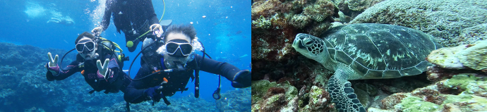 ���� �̌��_�C�r���O